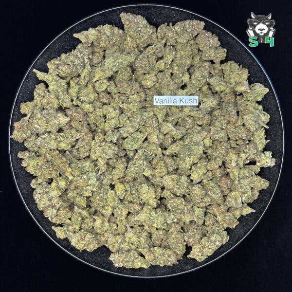 Vanilla Kush - 93M9 - Image 2