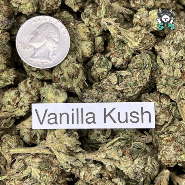 Vanilla Kush - 93M9 - Image 3