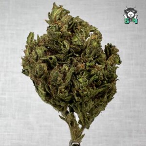 Headband - 63M9