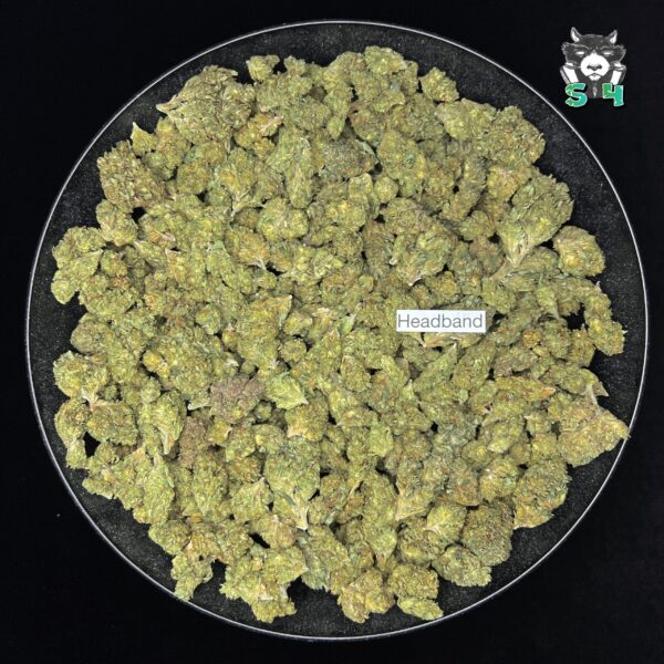 Headband - 63M9 - Image 2