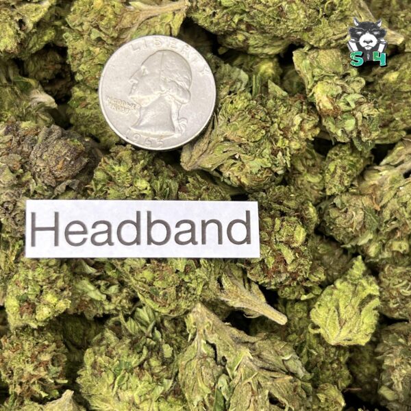 Headband - 63M9 - Image 3