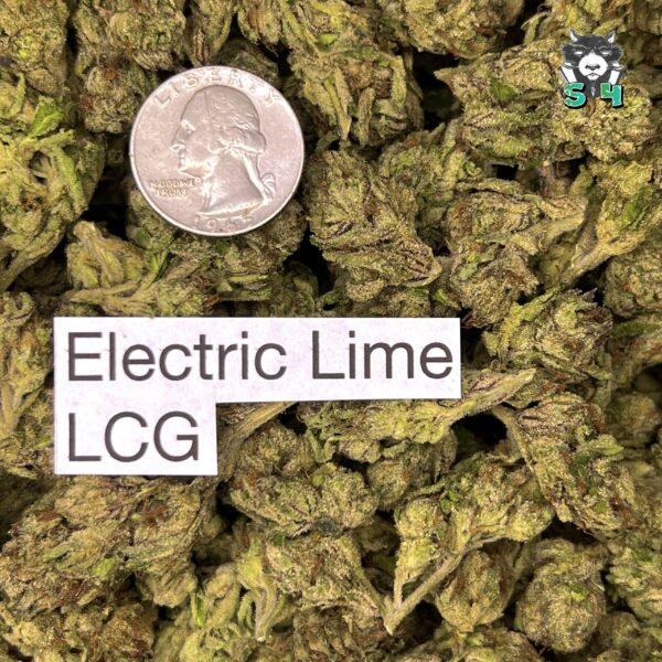 Electric Lime LCG - 36M9 - Image 3