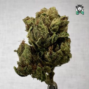 OG Kush - 60M9