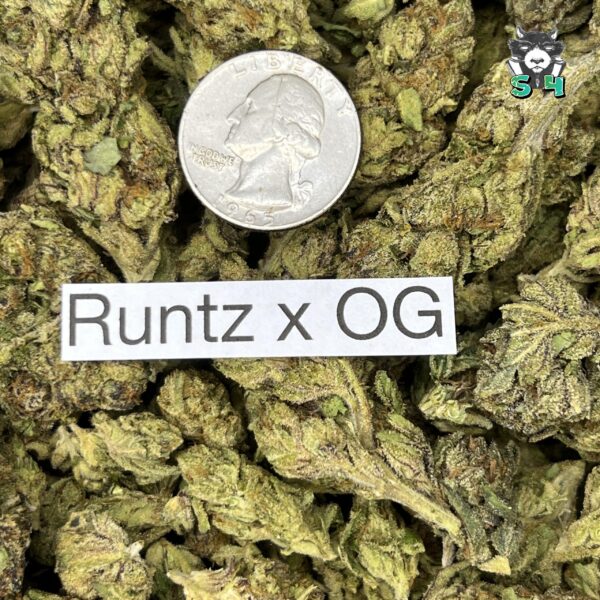 Runtz OG - 41M9 - Image 3