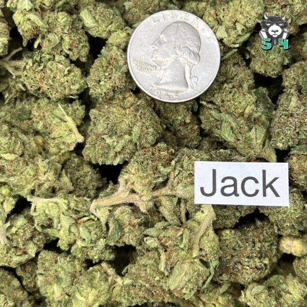 Jack Herer - 47K3 - Image 3