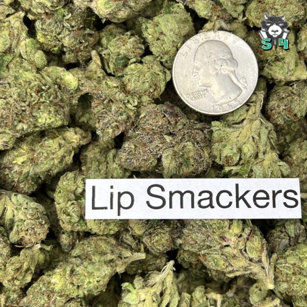 Lip Smackerz - 89K3 - Image 3