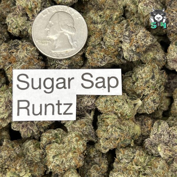Sugar Sap Runtz - 97Q9 - Image 3