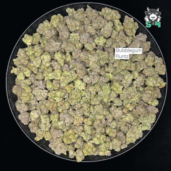 Bubblegum Runtz - 95B6 - Image 2