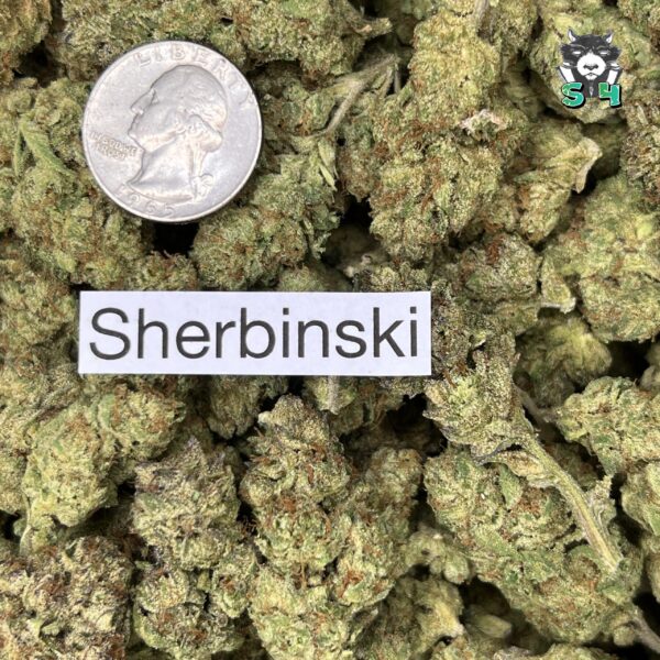 Sherbinski - 16L4 - Image 3
