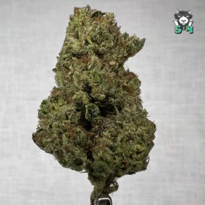 Murffin - 21L4