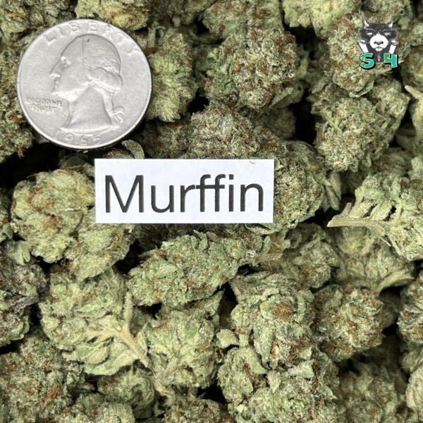 Murffin - 21L4 - Image 3