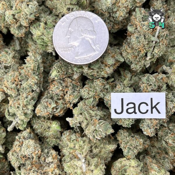 Jack Herer - 50W1 - Image 3