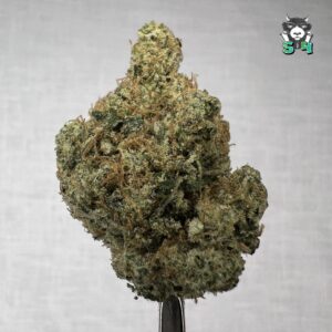 Sour Animal Cookies - 82C14