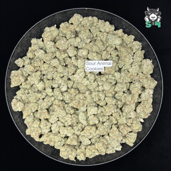 Sour Animal Cookies - 82C14 - Image 2