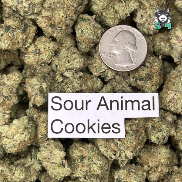 Sour Animal Cookies - 82C14 - Image 3