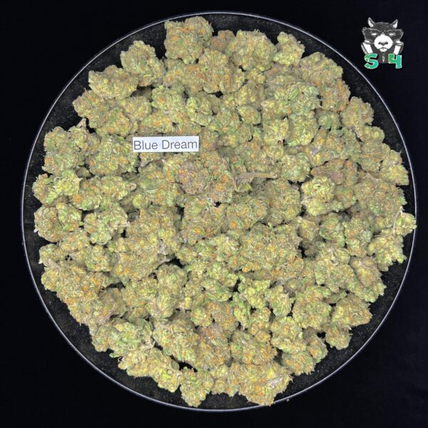 Blue Dream - 54T3 - Image 2