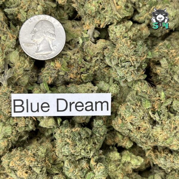 Blue Dream - 54T3 - Image 3