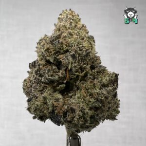 Obama Runtz - 61J6
