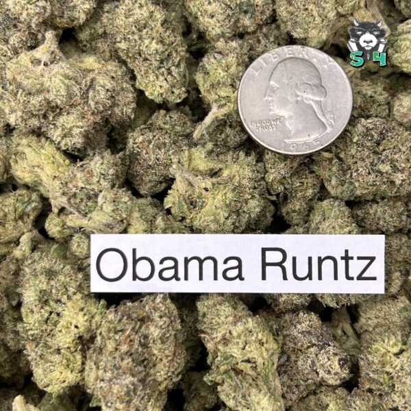 Obama Runtz - 61J6 - Image 3