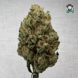 Kalifa Kush - 48B17