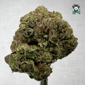 Modified Mints - 74D10