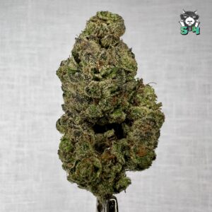 Crushed Mints - 36D10