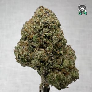 Lemon Cherry Gelato - 32K3