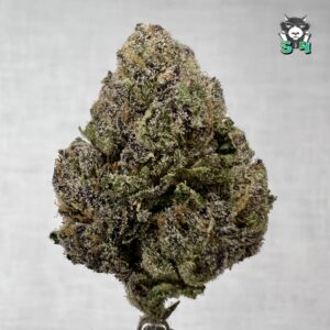 Don Merfo LCG - 70K3