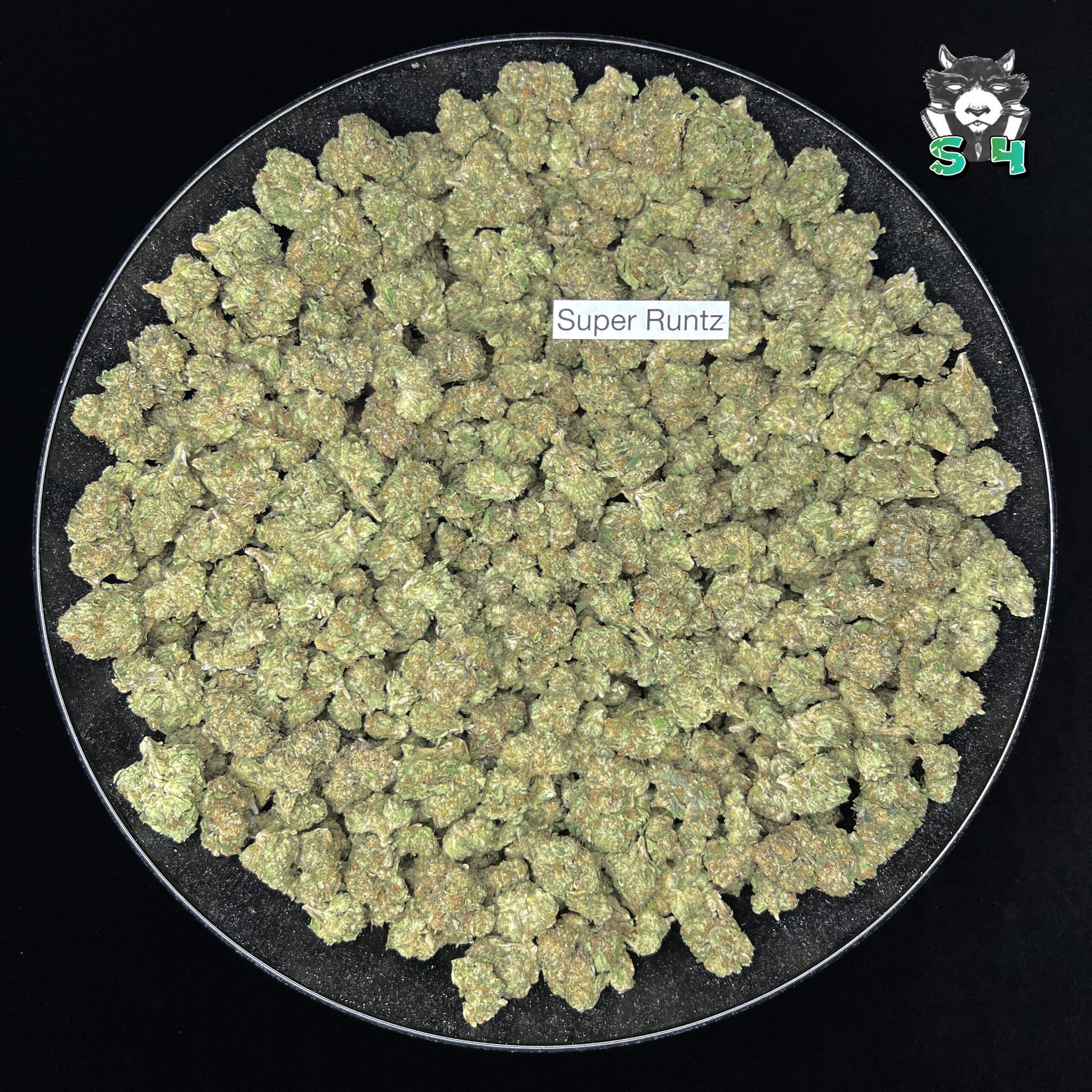 Super Runtz - 27P1 - Image 2