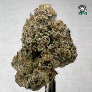 Moneybag Runtz - 22D83