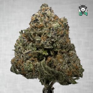 Lemon Cherry Gelato - 57D77