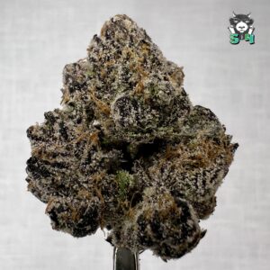 I-Candy Purple - 34D77