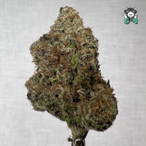 Grape GAs X LCG - 42W1