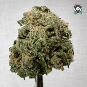 Blueberry Haze - 47A5