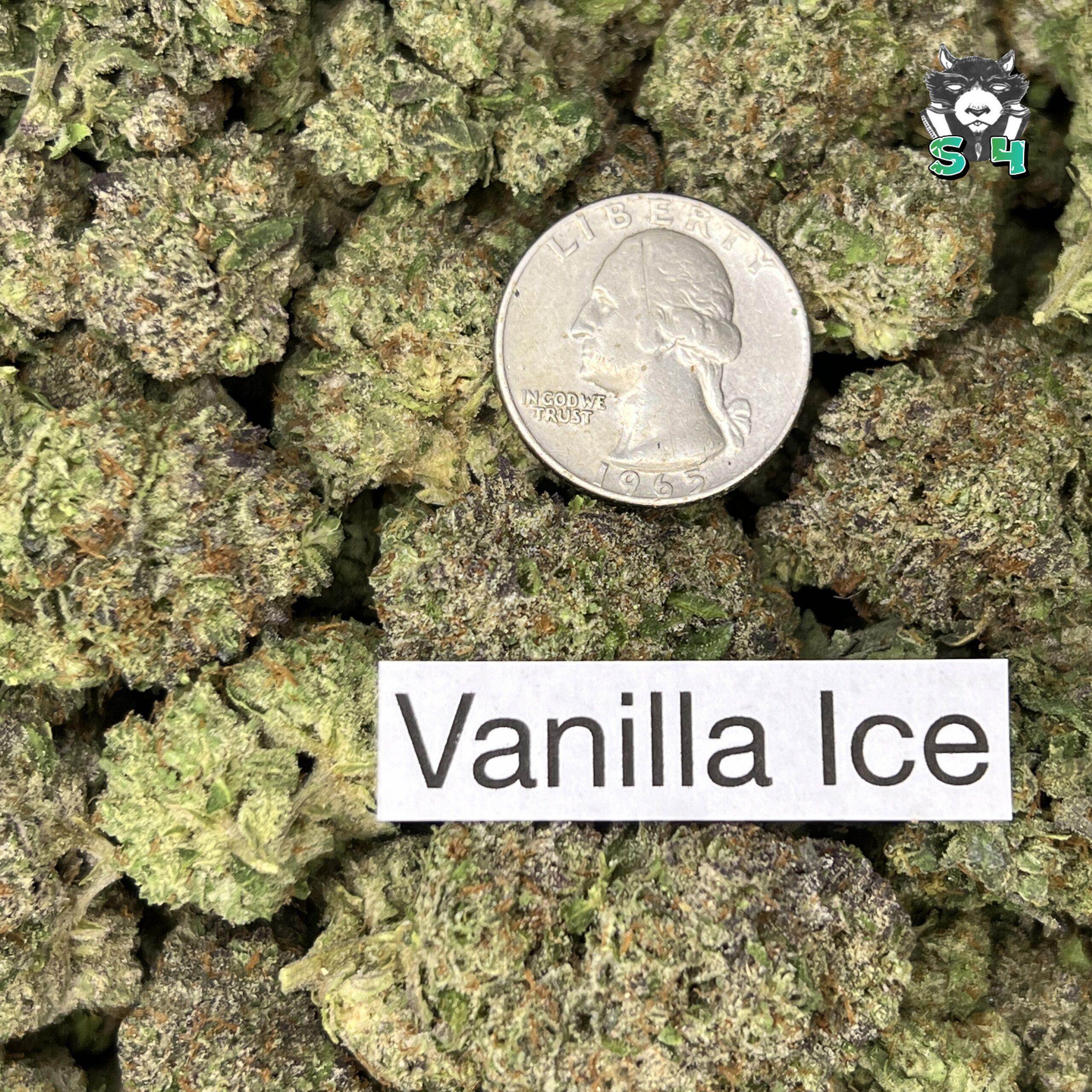 Vanilla Ice - 54L4 - Image 3
