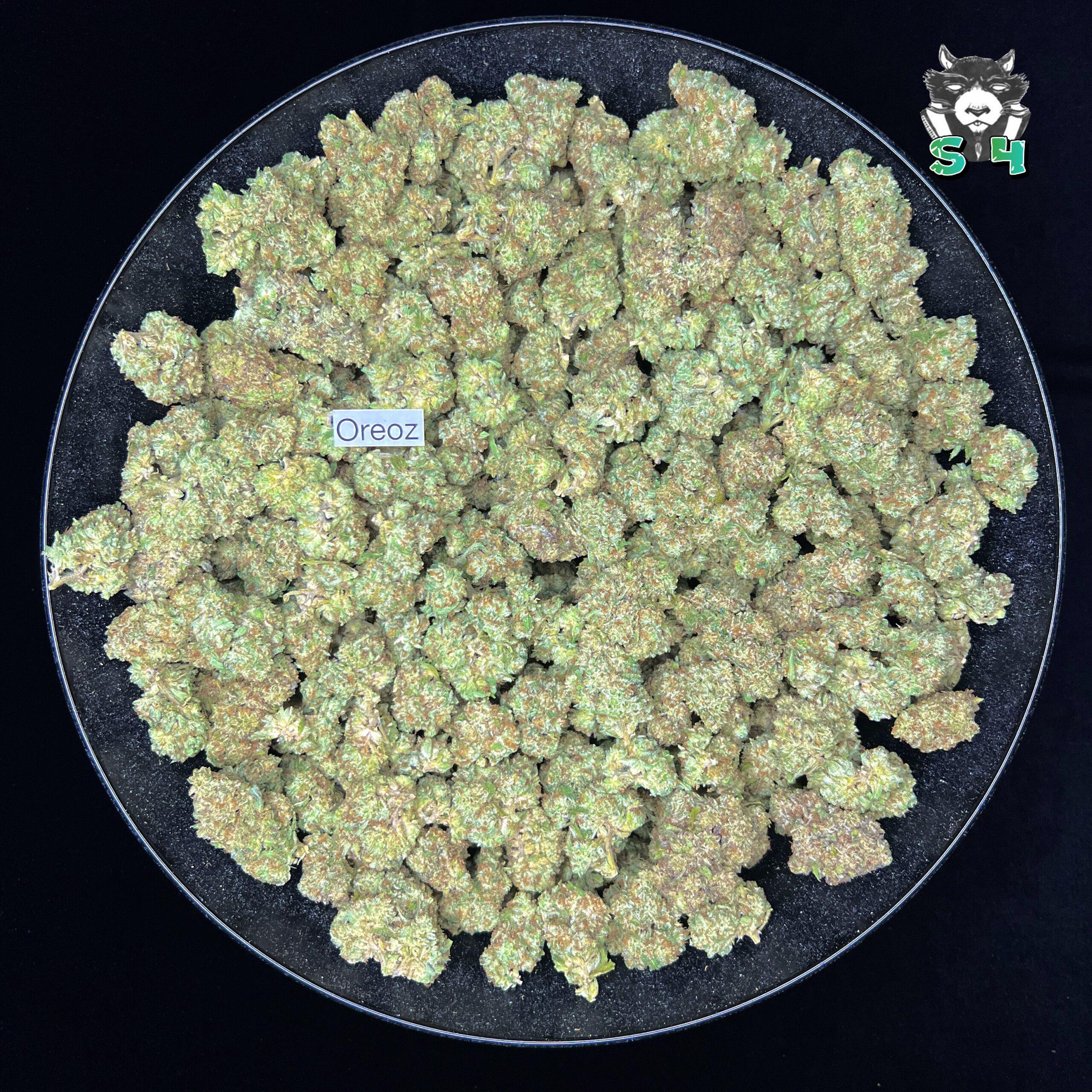 Oreoz - 38D14 - Image 2