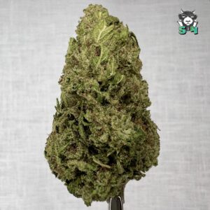 Wedding Cake - 54D14