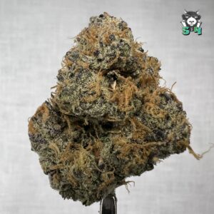 Grape Lemon Cherry - 36M12