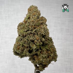 Monkey Skittles - 21S10