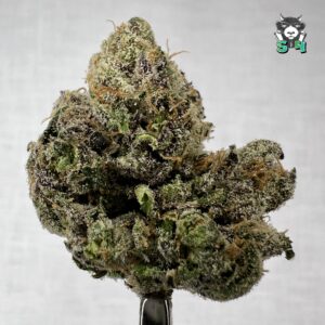 Sugar Sap Runtz - 52Q9