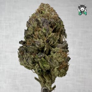 Lemon Cherry Gelato - 28N55