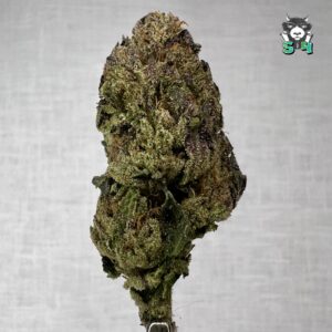 Rainbow Runtz - 25N55