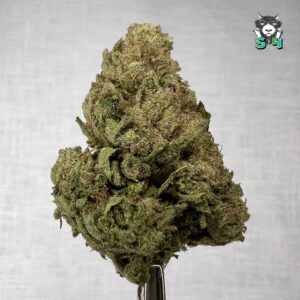 Lemon Cherry Gelato - 89A3