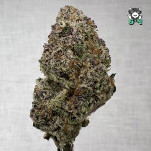 Super Trop Cherry - 26J1