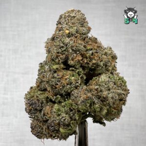 Strawberry Runtz - 77D14