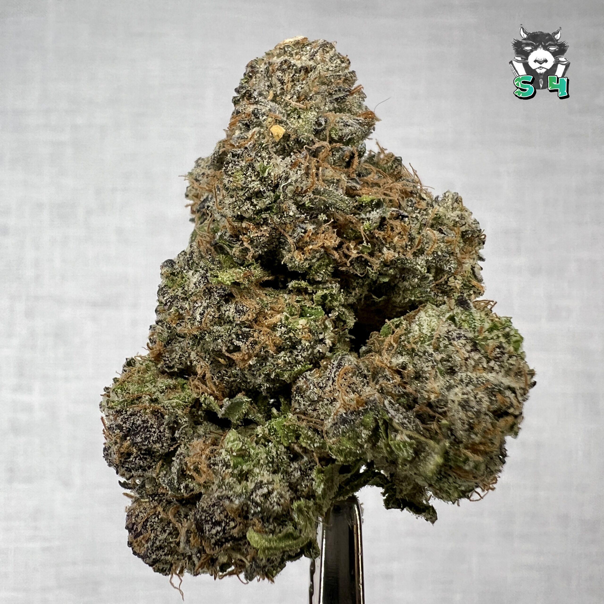 Strawberry Runtz - 77D14