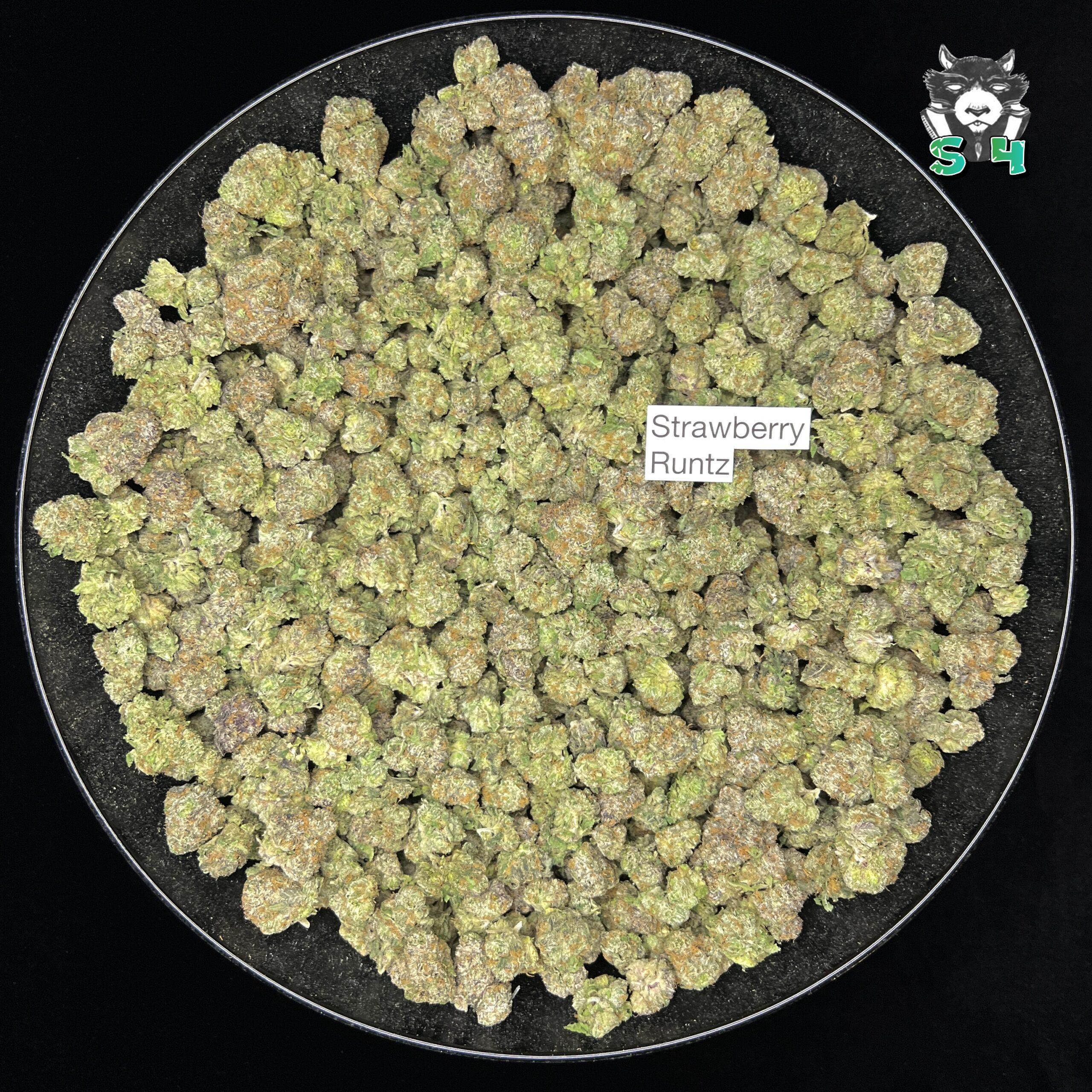 Strawberry Runtz - 77D14 - Image 2