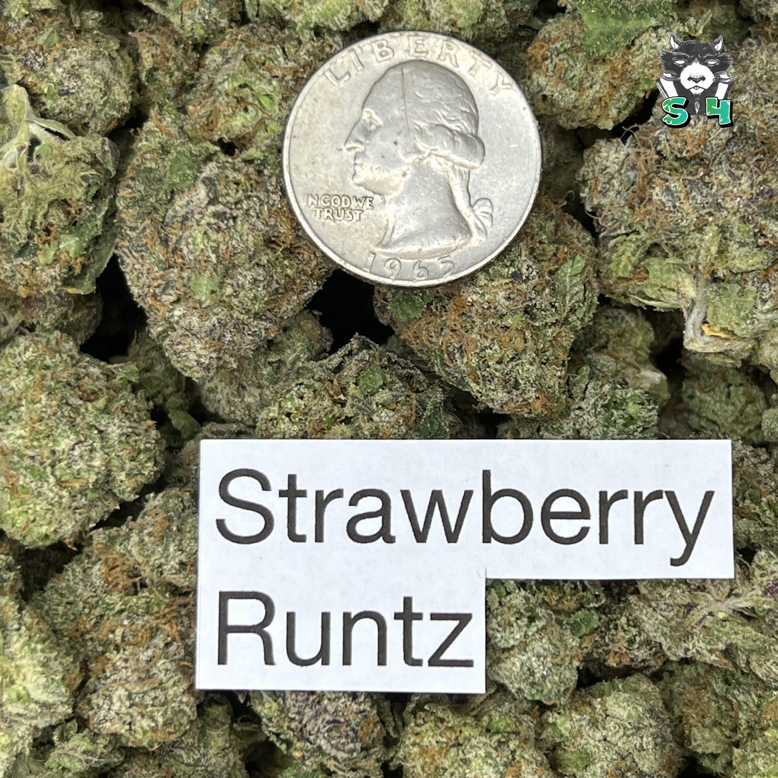 Strawberry Runtz - 77D14 - Image 3