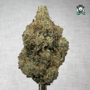 Sour Animal Cookies - 45C14