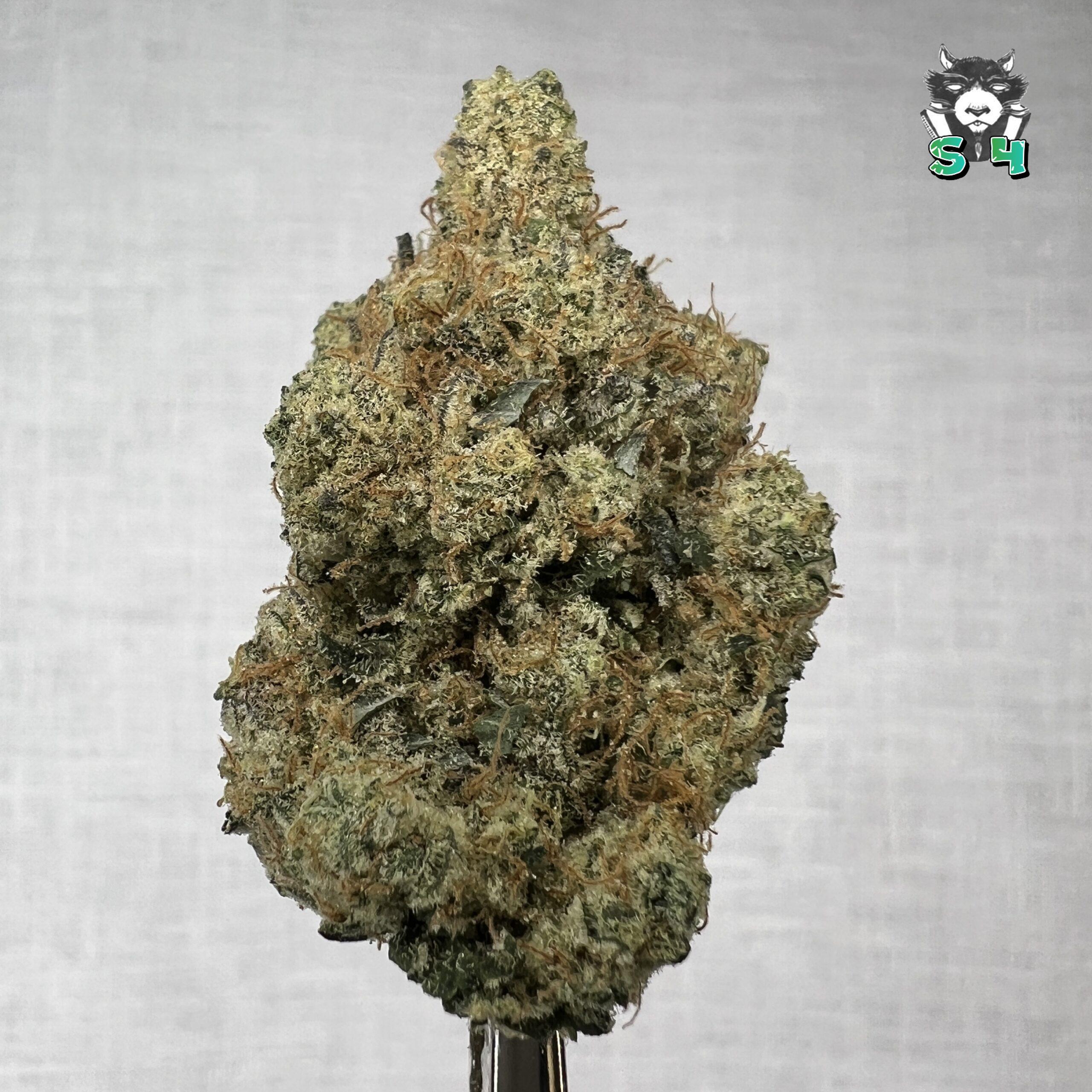 Sour Animal Cookies - 45C14